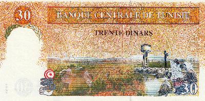 Beschrijving achterzijde: SHEEP